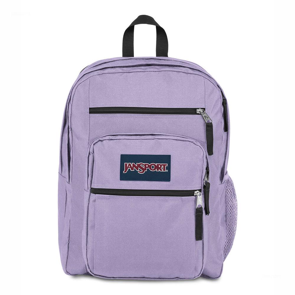 Sac à Dos Ordinateur JanSport BIG STUDENT Violette | NNC-70554569